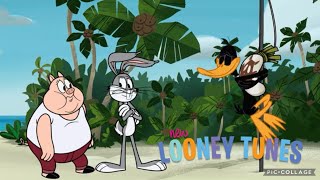 Outro Video Variation 3 Looney Tunes [upl. by Nosremaj]