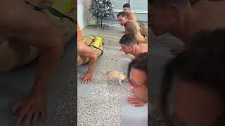 🔥Hot and hilarious yoga session with our fit firefighters and their adorable puppy pals [upl. by Auehsoj232]