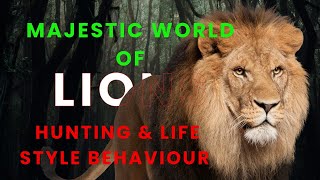 The majestic world of lions hunting and life style behaviour  Companion paws [upl. by Niac]