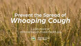 Whooping Cough Outbreak Protect Your Baby Today  Whitman County Public Health [upl. by Aettam]