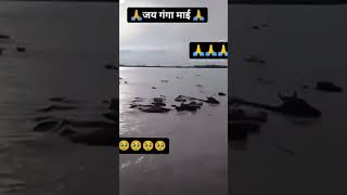 Ganga Maiya mare ringtone Pramod Premi video ko share karo bhai log Garib ka video hai [upl. by Marion]