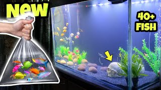 New 3 Feet Fish Tank Setup amp Adding Fish  Aquarium Decoration [upl. by Iek]