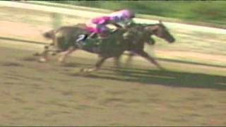 2014 Belmont Stakes  History in the Making with Steve Cauthen [upl. by Bronder4]