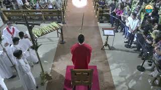 Palm Sunday of the Lord’s Passion at the Manila Cathedral  March 24 2024 600pm [upl. by Ielak]