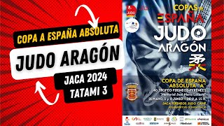 COPA DE ESPAÑA ABSOLUTA quotAquot JACA 2024  TATAMI 3 [upl. by Hindu]