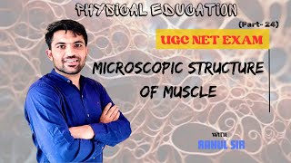 Microscopic structure of muscle fiber by Rahul sir  Muscular system  Physiology  PE UGC NET JRF [upl. by Handel]