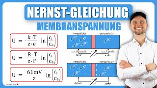 NernstGleichung Physiologie  Membranspannung  Physikum M1 Übungsaufgaben [upl. by Nitsirk]