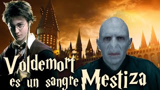 Voldemort es sangre mestiza tipos de sangre en Harry Potter [upl. by Holmes]