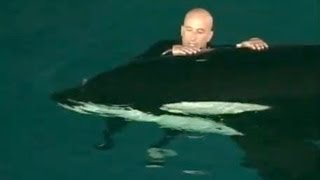 Caught on tape Whale nearly drowns SeaWorld trainer [upl. by Andrej]