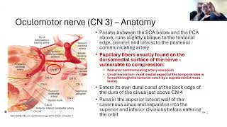 Lecture Review of Cranial Nerves 3 4 and 6 [upl. by Adelric]