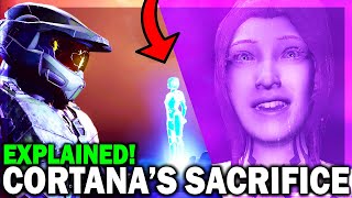 What happened to Cortana in Halo Infinite EXPLAINED Why Cortana was DELETED Halo Infinite [upl. by Nanda16]