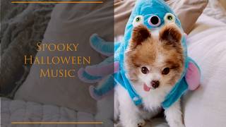 Spooky Halloween Music with Cute Pomeranian Dogs in Background 🎃🍁 Relaxing Ambience🧛👻 Fall Vibes 4k [upl. by Kcirdla421]