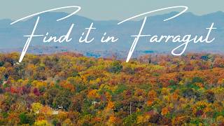 Find it in Farragut Tennessee [upl. by Godderd]