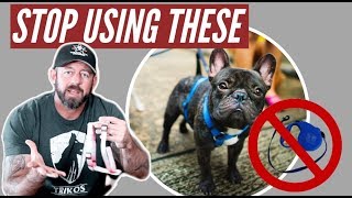 Stop using retractable leashes and harnesses on your dog [upl. by Doug268]