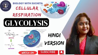 Glycolysis pathway made simple l EMP Pathway l Cellular Respiration in hindi l [upl. by Madeline]