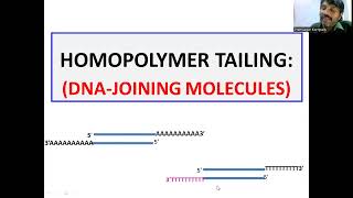 Homopolymer tailing DNA Joining Molecules [upl. by Irehc14]