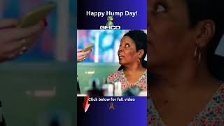 Happy Hump Day Wednesday The Best Funny Gieco Camel Commercials [upl. by Eilhsa]