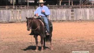 Horse trainer Rob Leach talks about teaching a horse to turn [upl. by Ruenhcs]