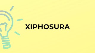 What is the meaning of the word XIPHOSURA [upl. by Dougald]