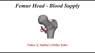 Femoral Head  Blood Supply Video  Subbus Ortho Talks [upl. by Arerrac]