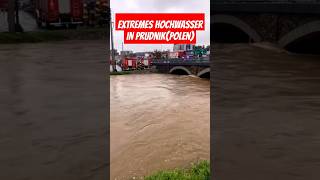 Extremes Hochwasser in PrudnikPolen heavyrain hochwasser polen prudnik viralvideo foryou [upl. by Sadnalor111]