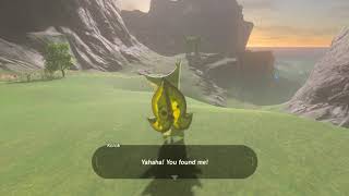 Korok seeds  Atun Valey  Faron Tower 33  Zelda BOTW [upl. by Inirt]