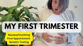 FIRST TRIMESTER PREGNANCY RECAP Symptoms Craving GeneticTest pregnant firsttrimesterpregnancy [upl. by Klement]