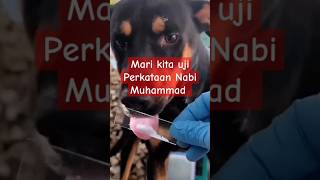 Anjing itu najis mari kita uji perkataan Nabi Muhammad [upl. by Aifoz]