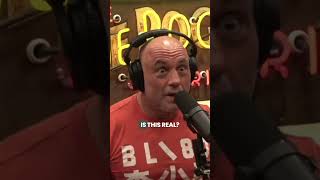 Rogan LOSES IT Over Trump Shooter [upl. by Yadnus]