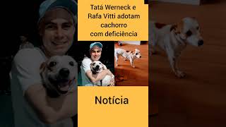 Tatá Werneck e Rafa Vitti adotam cachorro com deficiência cachoro noticias pets [upl. by Eldnek]