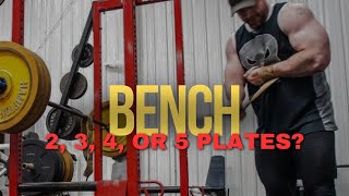 How Many Can BENCH PRESS 225 315 405 or 495 [upl. by Martijn]