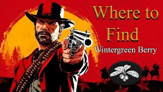 RDR2 Online  Wintergreen Berry locations [upl. by Akihsan586]