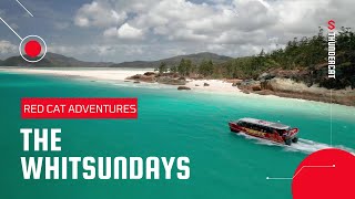 The Whitsundays  Day trip to Whitehaven Beach on Thundercat [upl. by Laenaj585]