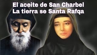 En Vivo  EL ACEITE DE SAN CHARBEL Y LA TIERRA DE SANTA RAFQA  Exarcado Maronita en Colombia [upl. by Asselim]