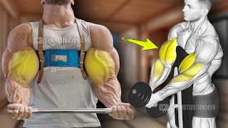 6 Effective Huge Biceps Exercises [upl. by Suzann626]