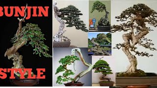 50 Inspirasi Bonsai Literati Bunjin Style Part 1 [upl. by Olatha]