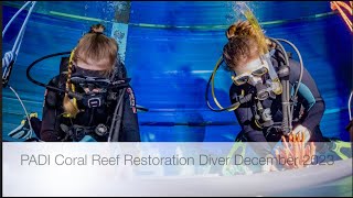 DD PADI Coral Reef Restoration Diver December 2023 [upl. by Aelsel566]