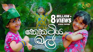 Kekatiya Mal කෙකටිය මල්  Various Artist  Diyani Teledrama Song  eTunes [upl. by Griseldis]