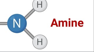 lecture 5 hinsberg test [upl. by Eolhc890]