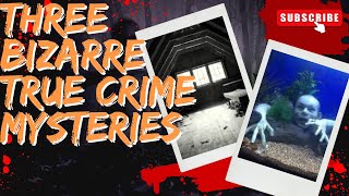 Three Bizarre True Crime Mysteries [upl. by Bluh37]