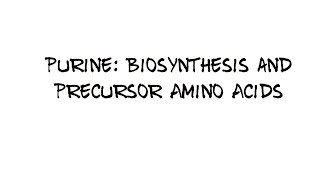 Purine Biosynthesis and Precursor amino acids [upl. by Grimbly]