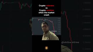 Crypto veterans vs Crypto newbies when the market crash [upl. by Amethyst]