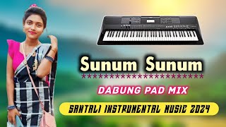 Sunum Sunum 🎹 Santali New Instrumental Music 2024 🥁 Dabung Pad Mix [upl. by Fulbert589]