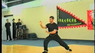 Hung Gar  Mui Fa Kuen 洪拳  梅花拳 [upl. by Alison]