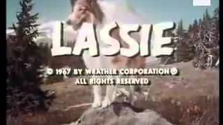 Lassie Opening Theme Tune [upl. by Imat]