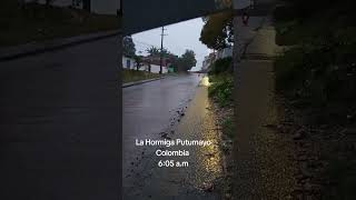 La Hormiga Putumayo video short [upl. by Metcalf]