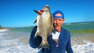 Catching CAPE STUMPNOSE STEENBRAS and A Decent Size GALJOENGaljoen Season Closing Soon [upl. by Ayocat139]