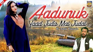 Aadunuk Yaad Juda Mai Judai By Ashiq Hussain [upl. by Arehahs186]