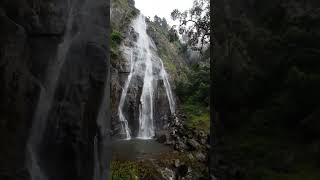 Sri Lankas Highest waterfall Bambarakanda bambarakanda waterfall srilanka ceylon visitsrilanka [upl. by Bendicta]