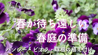 【Vlogガーデニング】春が待ち遠しい〜パンジー・ビオラ・球根の植え付け手仕事ラナンキュラス・ラックス秋バラ [upl. by Ahseket]